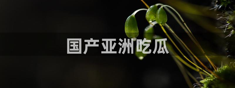 718.sⅹ 吃瓜:国产亚洲吃瓜