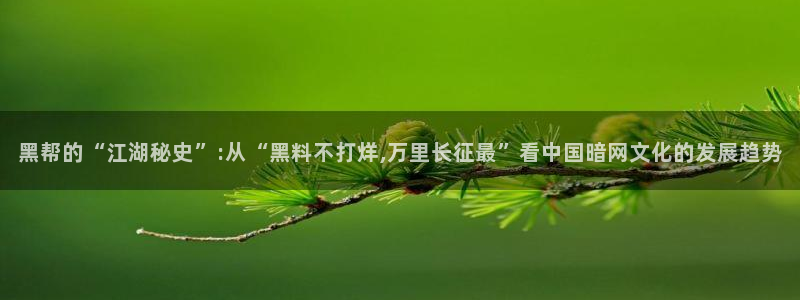 51全网更新最快最全的吃瓜网:黑帮的“江湖秘史”:从“黑料不打烊,万里长征最”看中国暗网文化的发展趋势