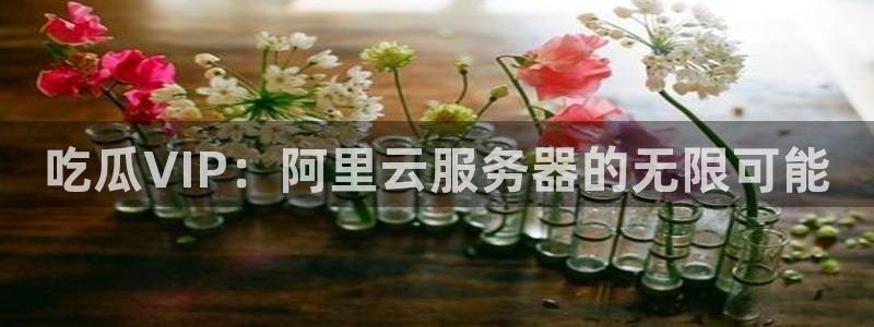 cggolive51吃瓜:吃瓜VIP:阿里云服务器的无限可能