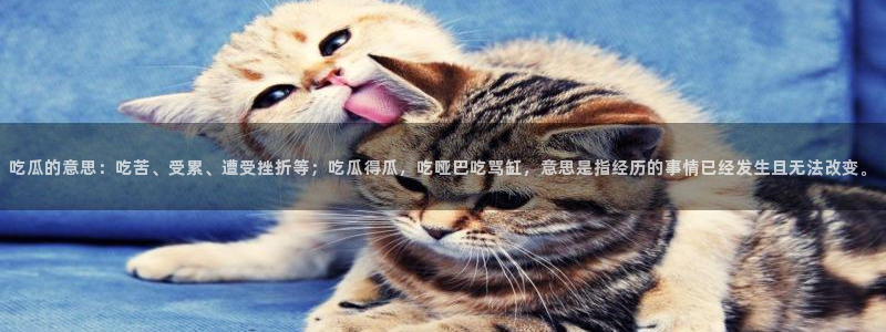 黑料:吃瓜的意思:吃苦、受累、遭受挫折等;吃瓜得瓜,吃哑巴吃骂缸,意思是指经历的事情已经发生且无法改变。