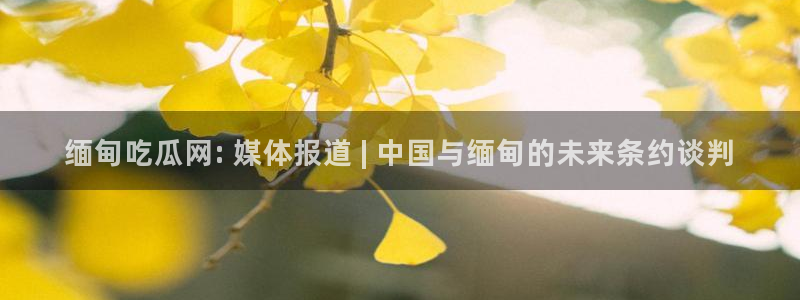 51cg今日吃瓜热门:缅甸吃瓜网: 媒体报道 | 中国与缅甸的未来条约谈判