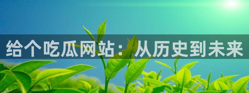 51吃瓜网今日吃瓜入口:给个吃瓜网站:从历史到未来