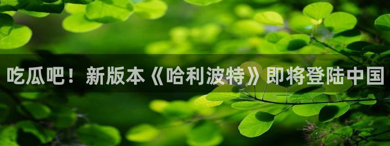 吃瓜网是全网更新最快:吃瓜吧!新版本《哈利波特》即将登陆中国
